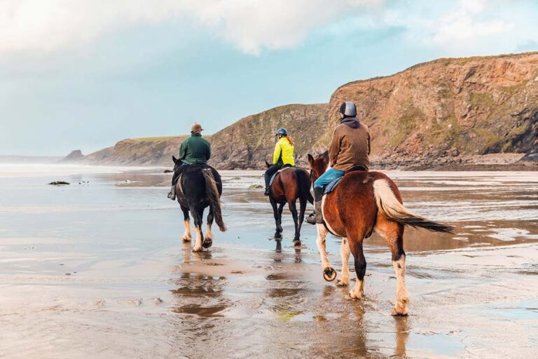 Horse riding on the beach