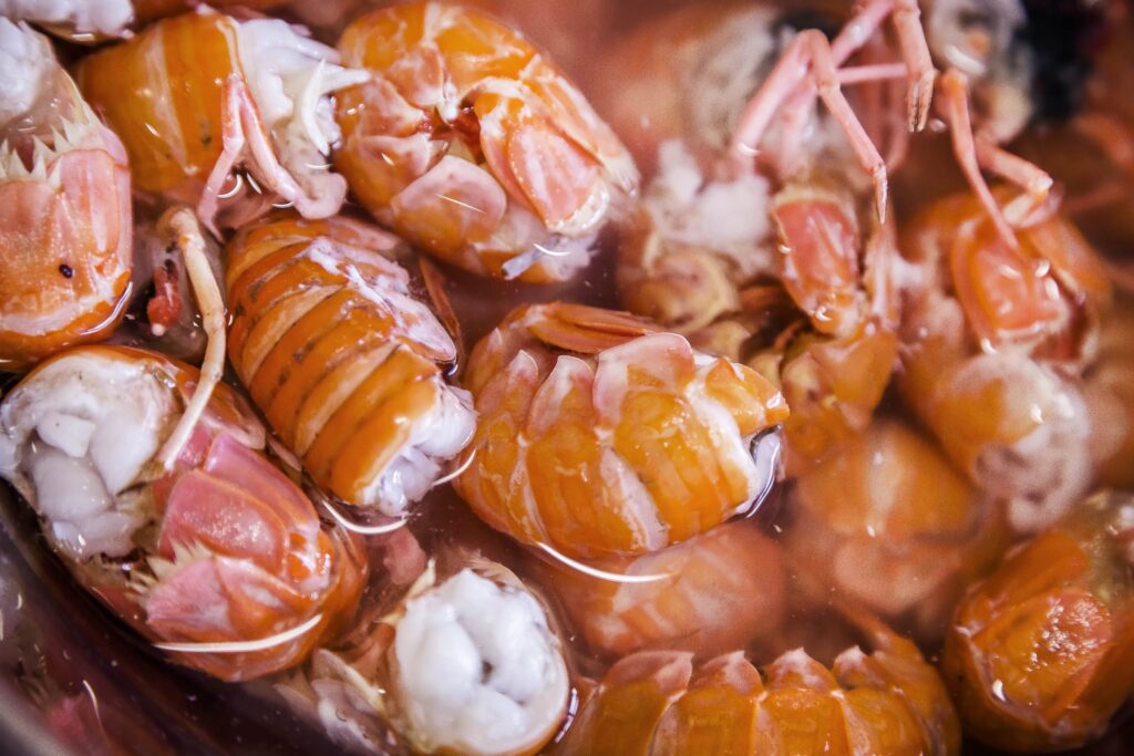 Scottish langoustine - VisitScotland / Grant Paterson
