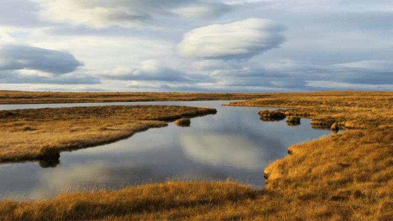 Forsinard, Flow Country
