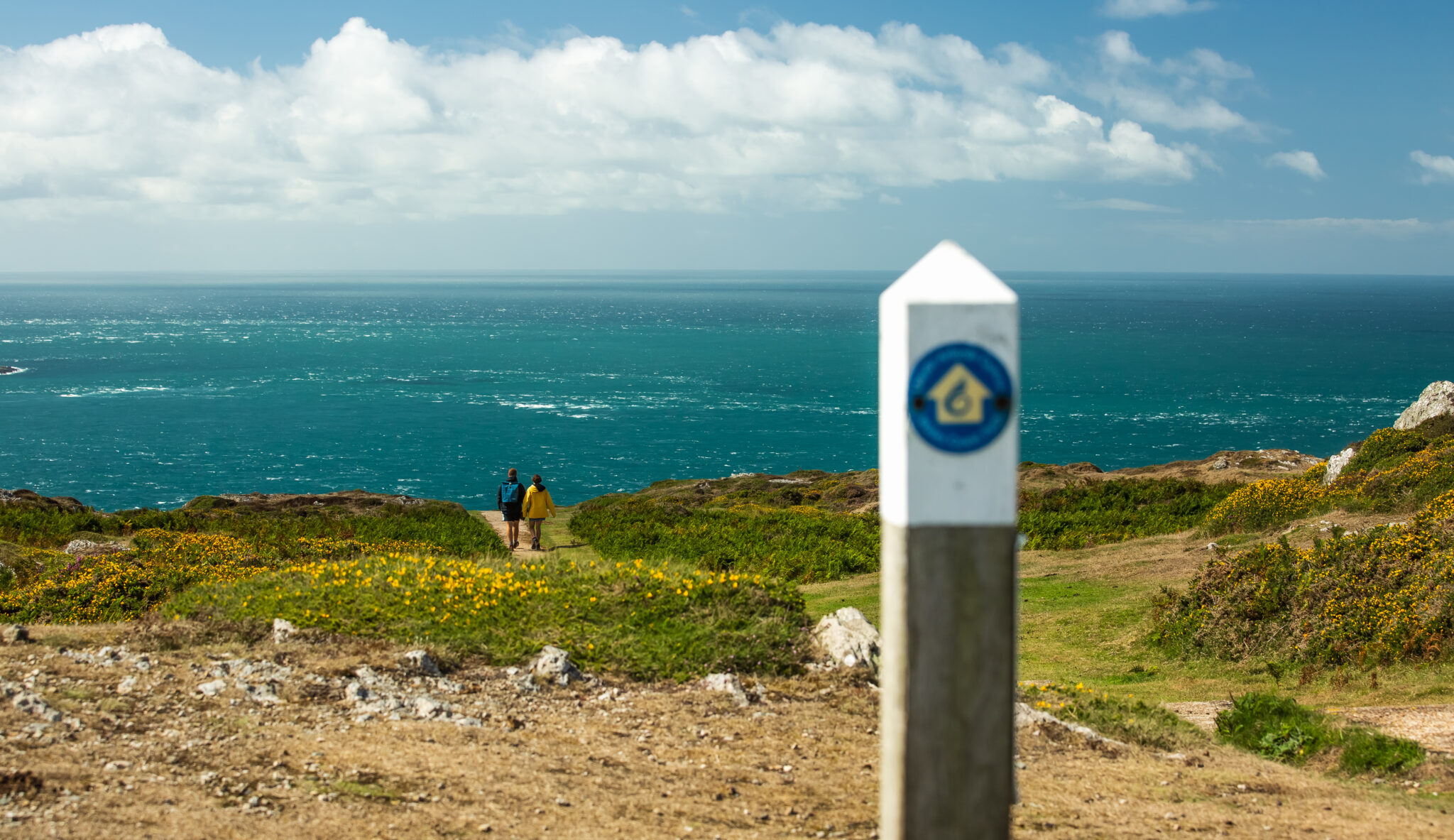 Pembrokeshire coastal path
