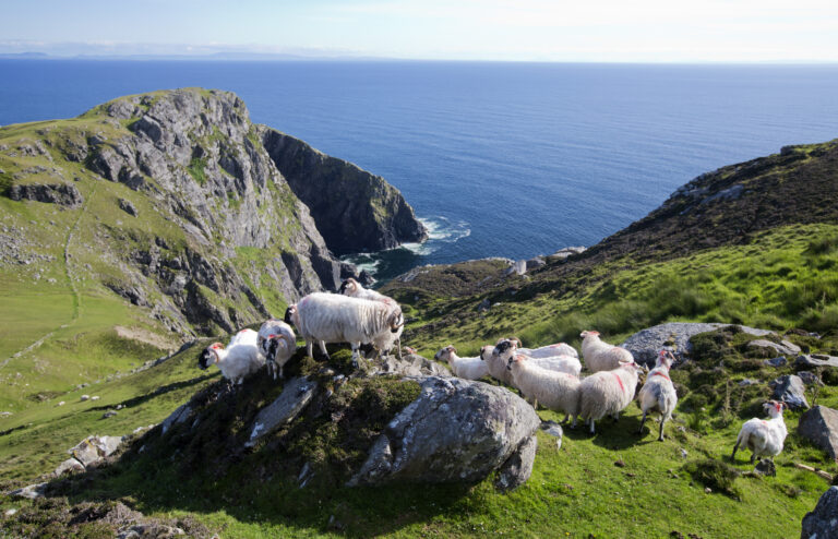 Slieve League Cliffs, Co. Donegal