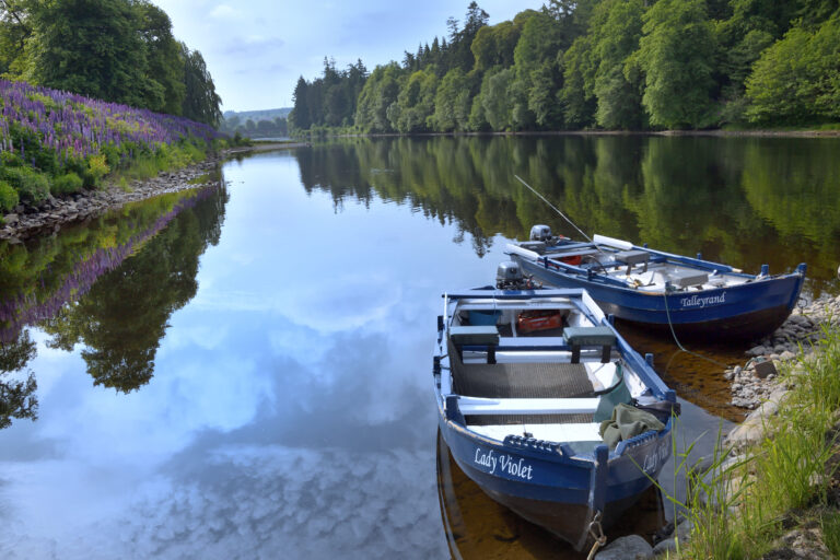 Meikleour boats