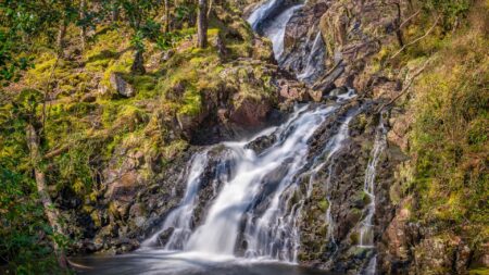 Waterfall