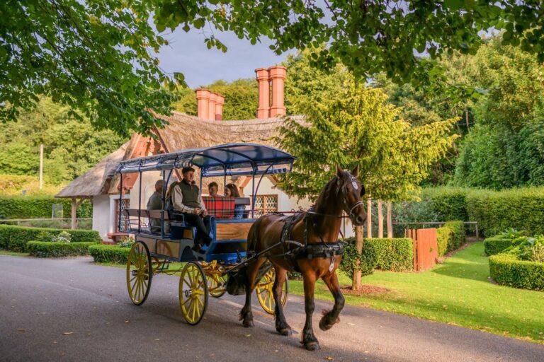 Killarney Jaunting Cars Kly National Park - Thatch Cottage