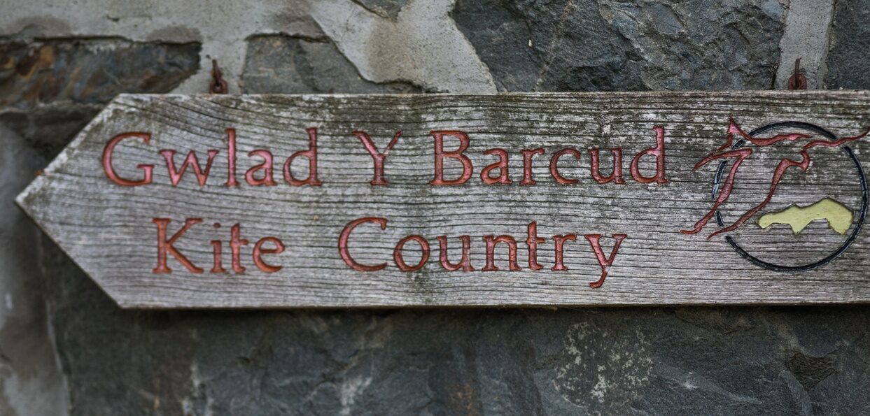 The Red Kite Centre in Gigrin, Rhayader, Powys, Mid Wales