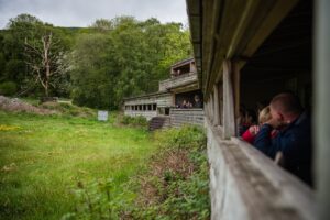 The Red Kite Centre in Gigrin, Rhayader, Powys, Mid Wales