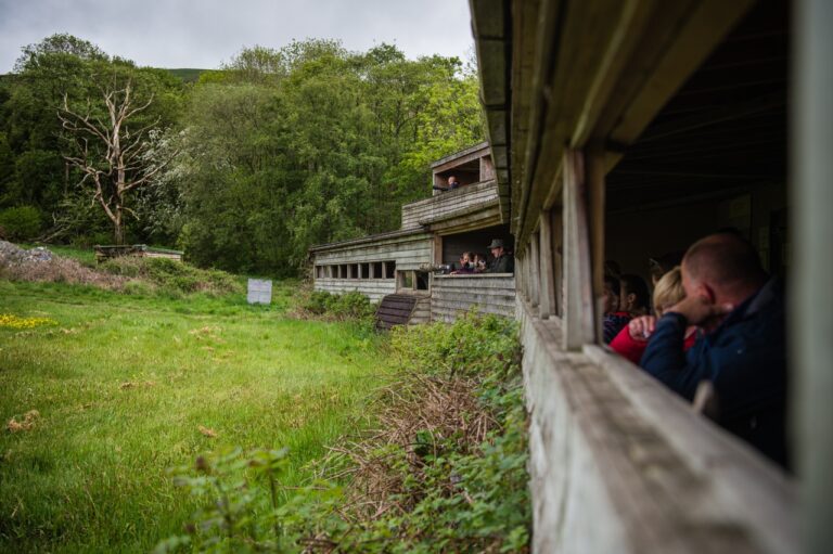 The Red Kite Centre in Gigrin, Rhayader, Powys, Mid Wales