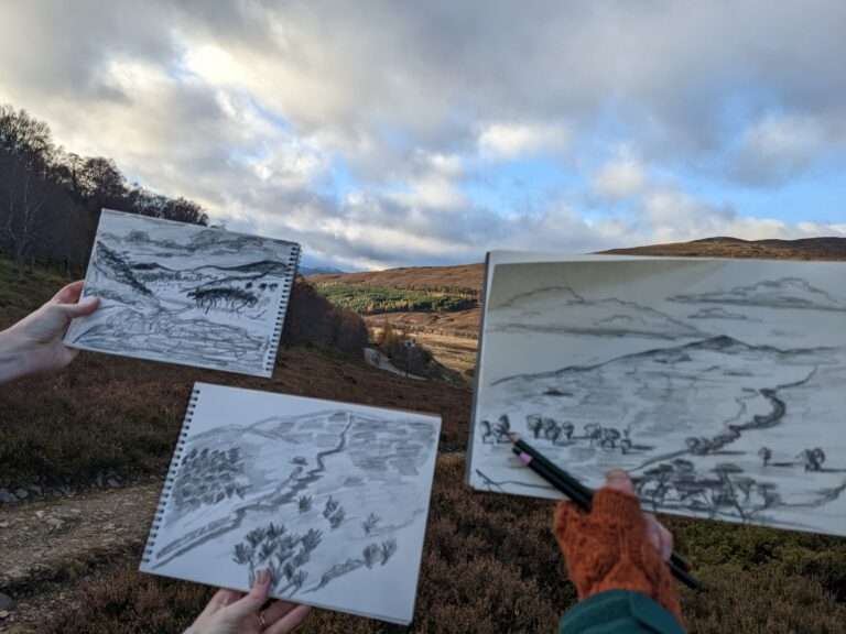 Wild Braemar Forest Sketch