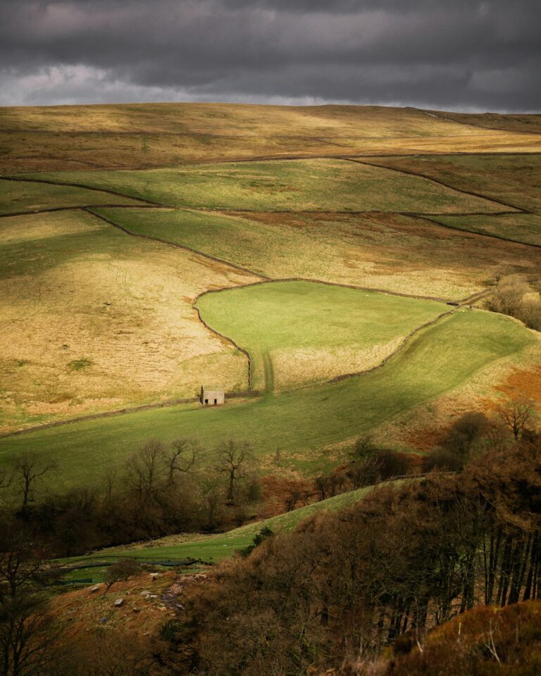 Yorkshire Dales Illiya-vjestica