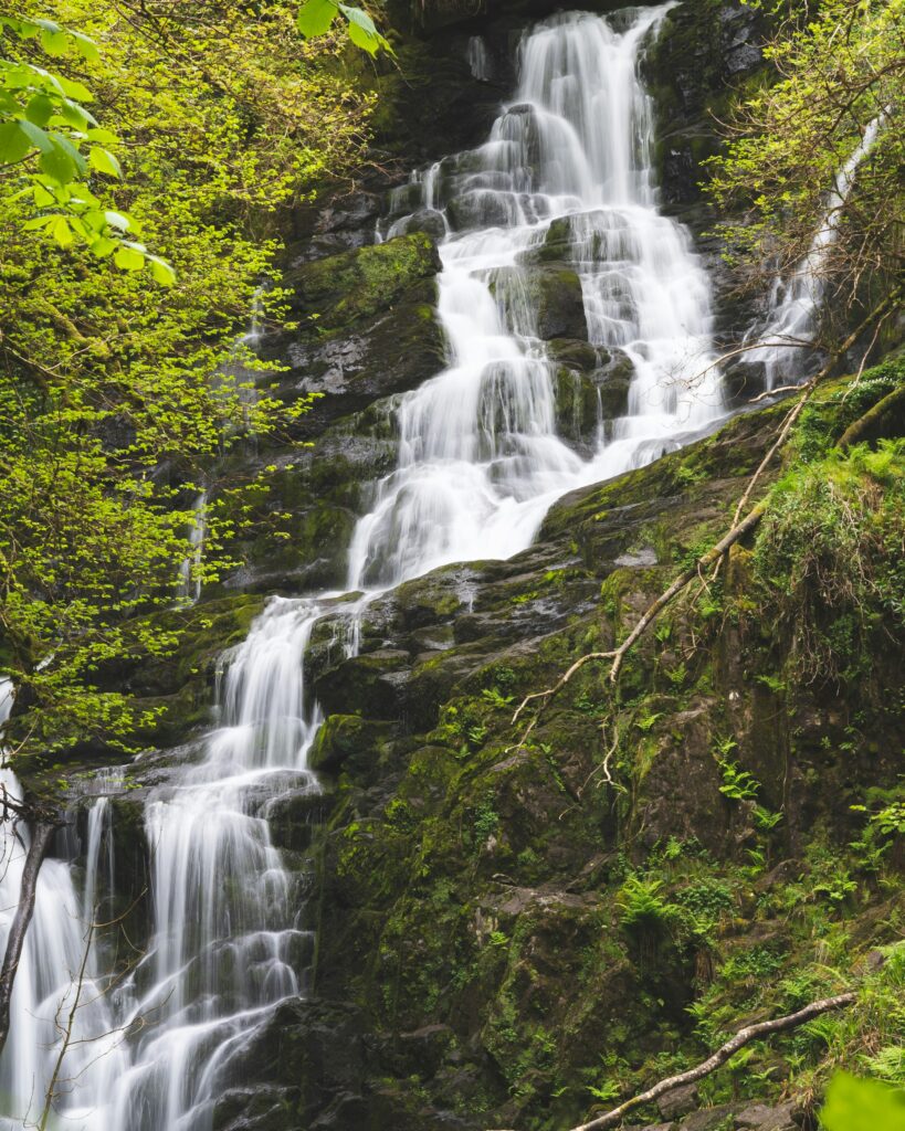 Killarney National Park y-s