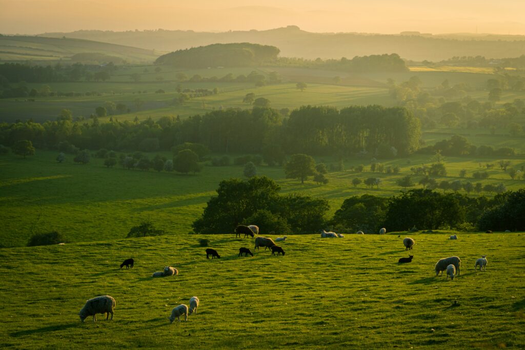Yorkshire Moors
