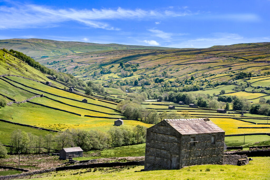 Swaledale - Stephen Garnet