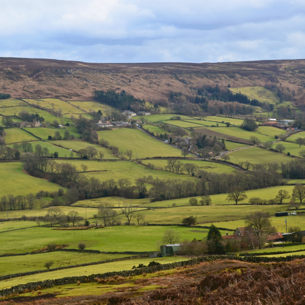 Yorkshire Moors