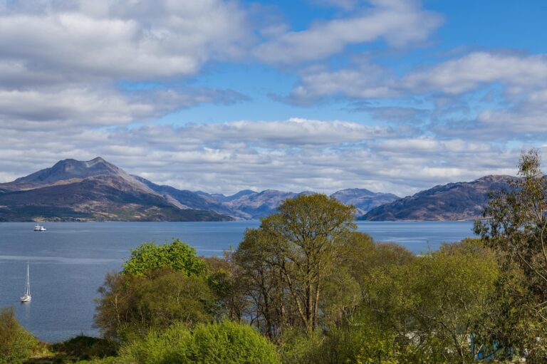 Duidsale House Hotel View