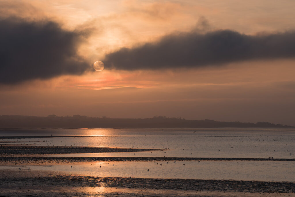 Karen Thorburn Photography