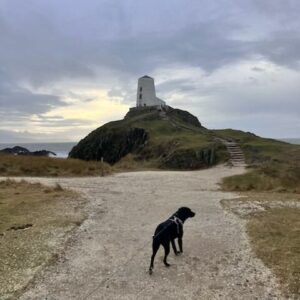 Leigh - Celtic Routes Wales