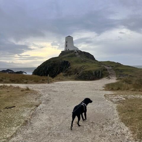 Leigh - Celtic Routes Wales