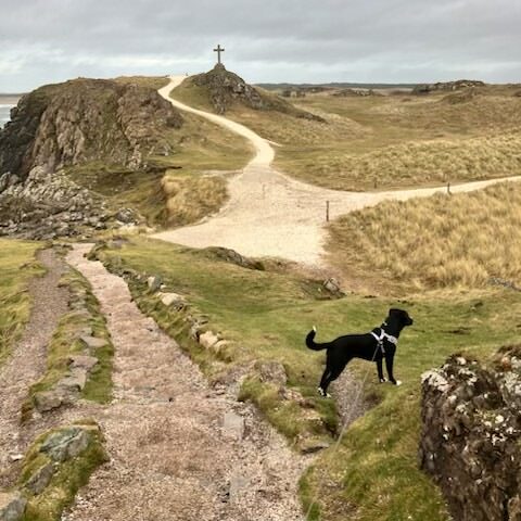 Leigh - Celtic Routes Wales