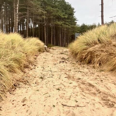 Leigh - Celtic Routes Wales