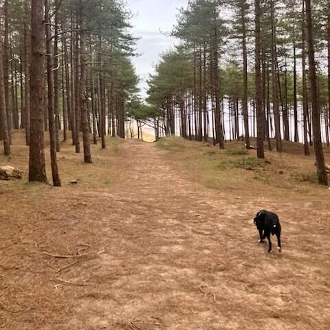 Leigh - Celtic Routes Wales