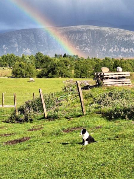 Lara Gold / Craign McGuinness Rainbow