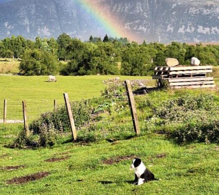 Lara Gold / Craign McGuinness Rainbow