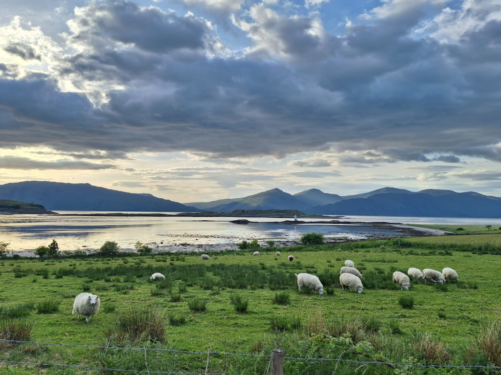 Sheep grazing beside a loch with the mountains of Skye beyond